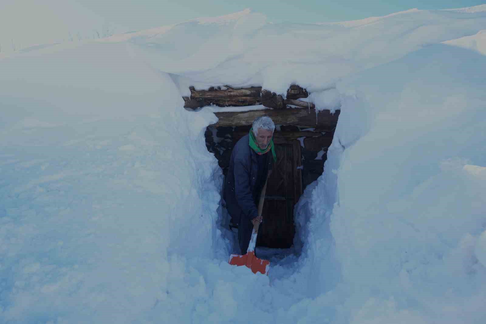 Muş’ta 1800 rakımlı köy kara gömüldü: Evler kar altında, ulaşım tünellerle sağlanıyor
