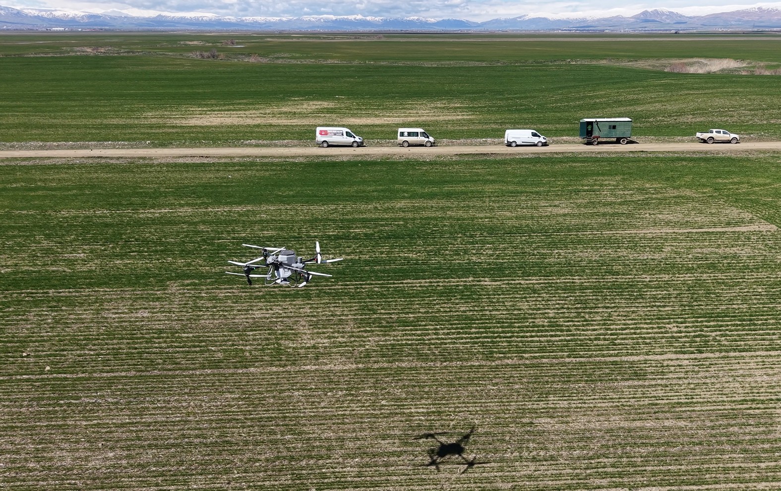 Muş’ta 42 bin dönümlük tarım arazisi dron ile gübrelendi
