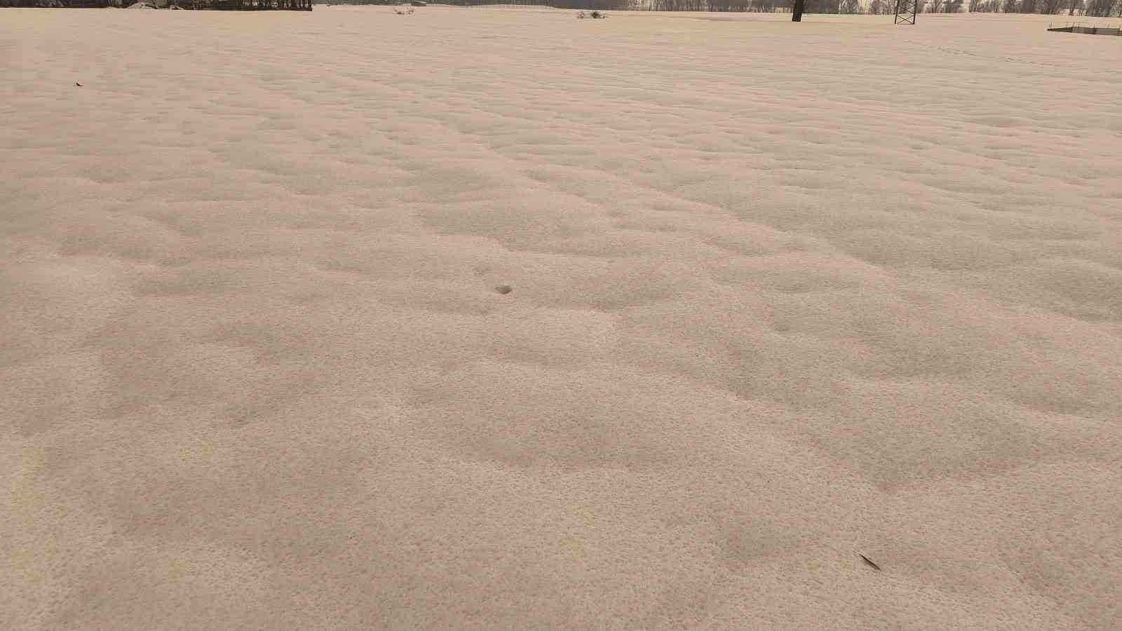 Muş’ta bembeyaz kar bir gecede kahverengiye dönüştü
