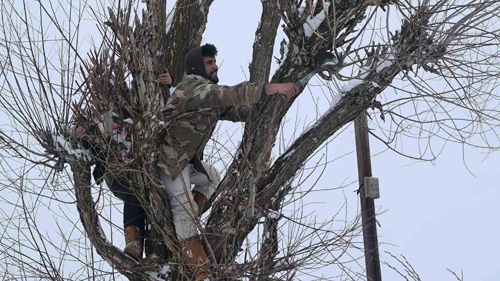 Muş’ta besicilerden alternatif yem yöntemi
