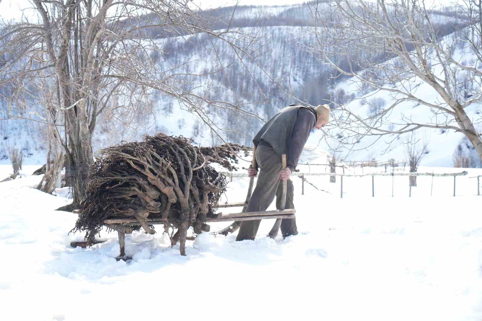 Muş’ta besicilerin asırlık geven otu geleneği sürüyor
