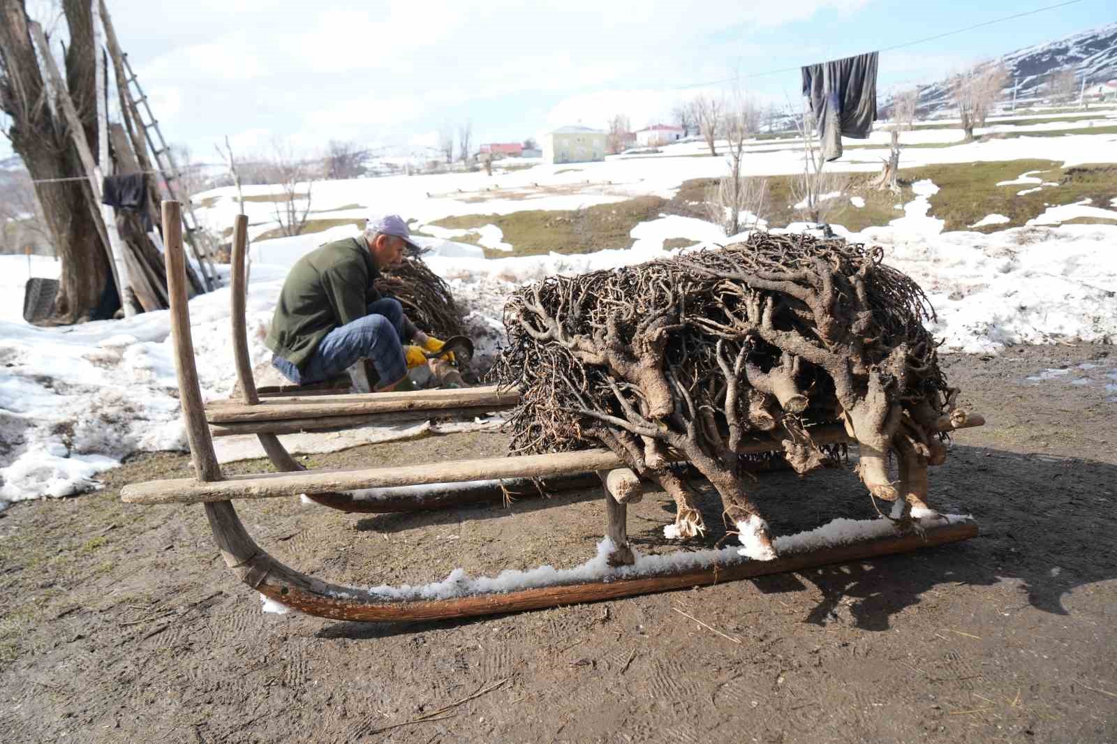 Muş’ta besicilerin asırlık geven otu geleneği sürüyor

