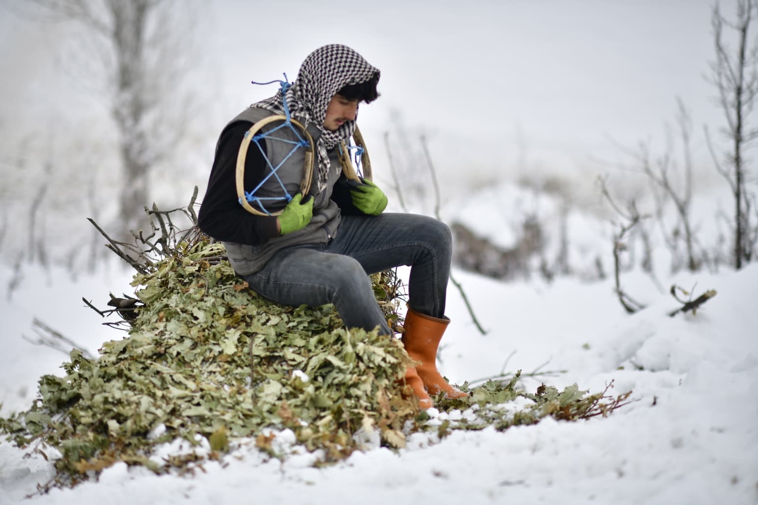 Muş’ta besicilerin kızaklı zorlu kış mesaisi
