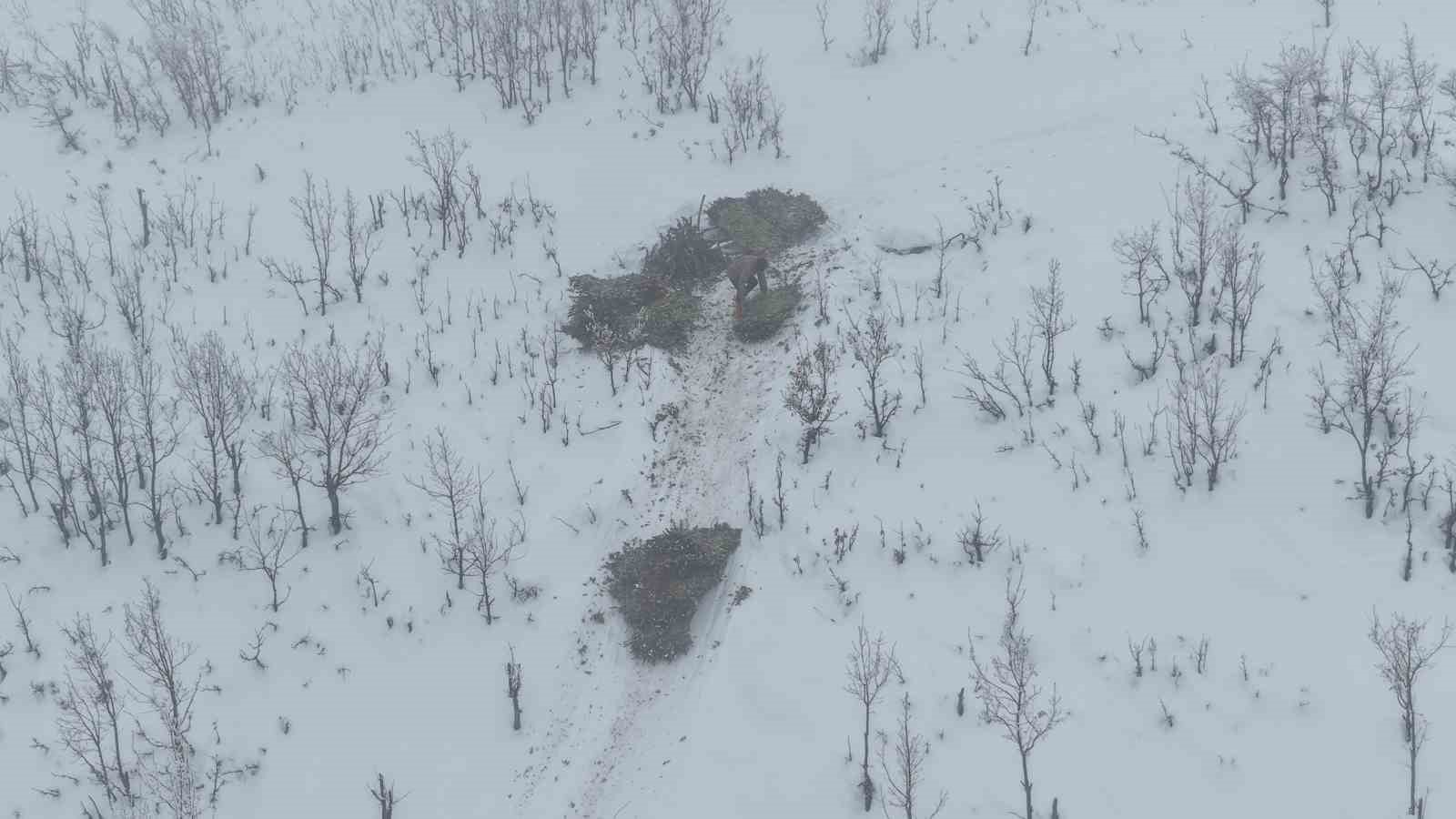 Muş’ta besicilerin kızaklı zorlu kış mesaisi
