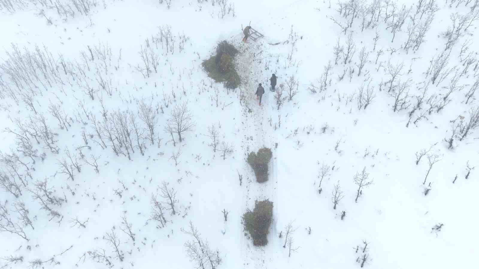 Muş’ta besicilerin kızaklı zorlu kış mesaisi
