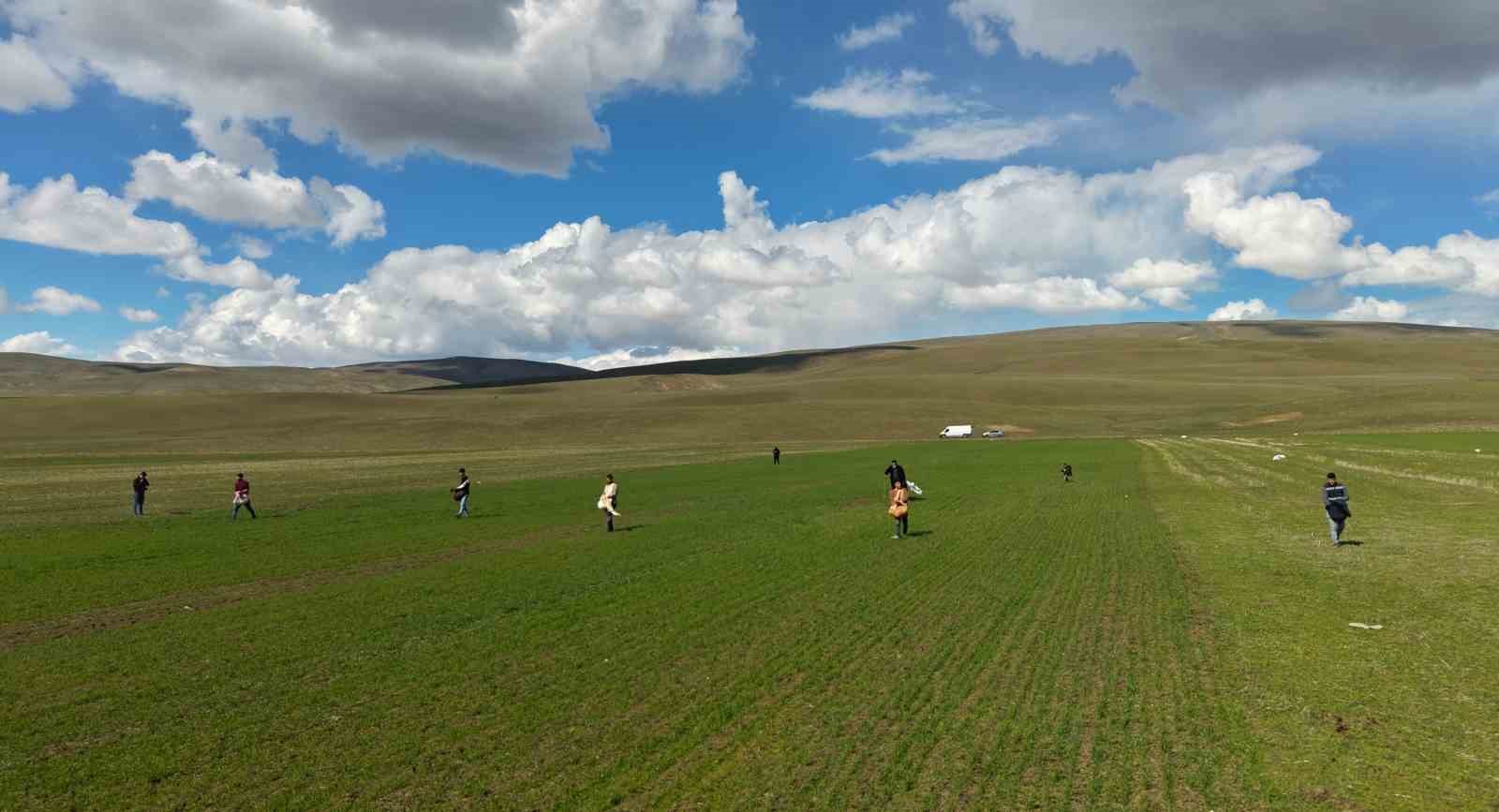Muş’ta çiftçiler tarlaya indi: Gübreler imece usulü ile serpildi
