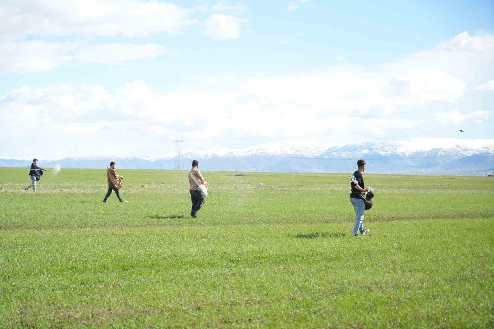 Muş’ta çiftçiler tarlaya indi: Gübreler imece usulü ile serpildi
