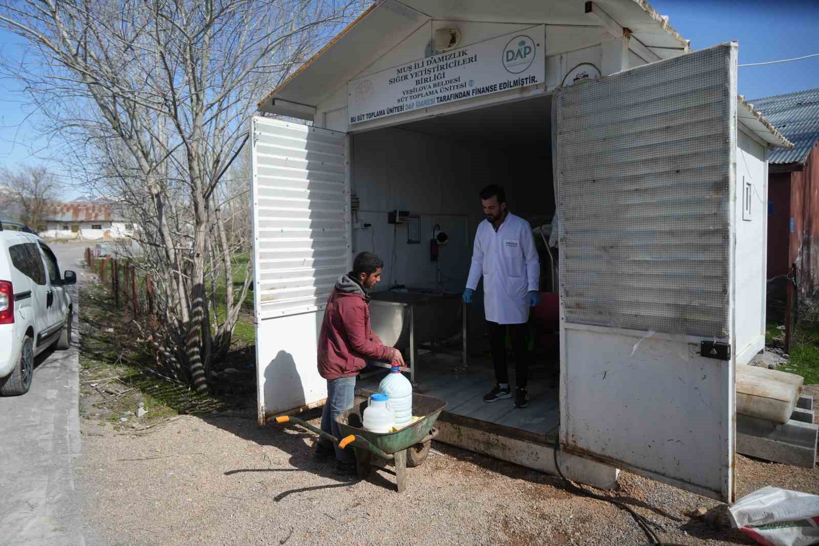 Muş’ta çiğ süt soğuk zincir projesi hayata geçti
