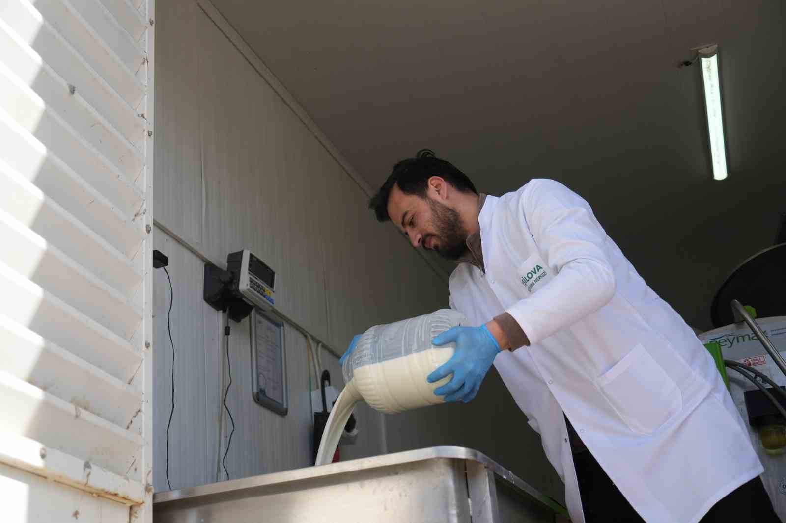 Muş’ta çiğ süt soğuk zincir projesi hayata geçti
