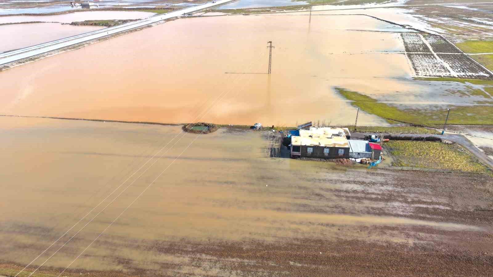 Muş’ta eriyen kar ve sağanak ovayı sular altında bıraktı
