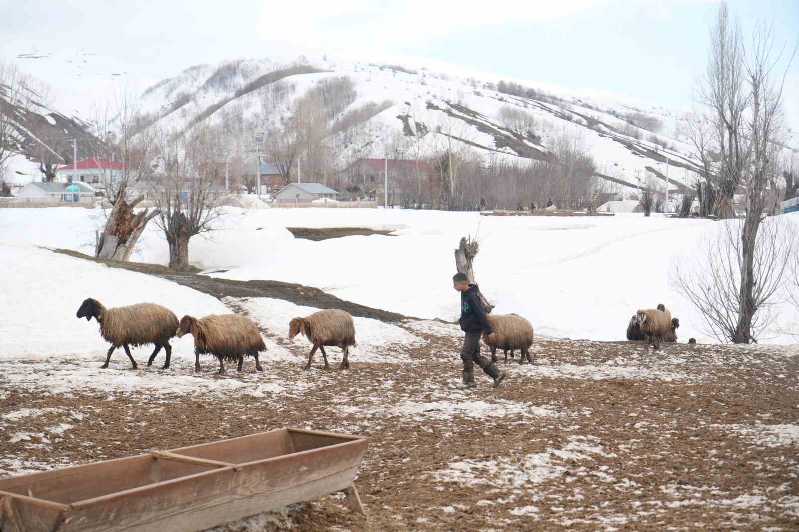Muş’ta kış ve bahar aynı anda yaşanıyor
