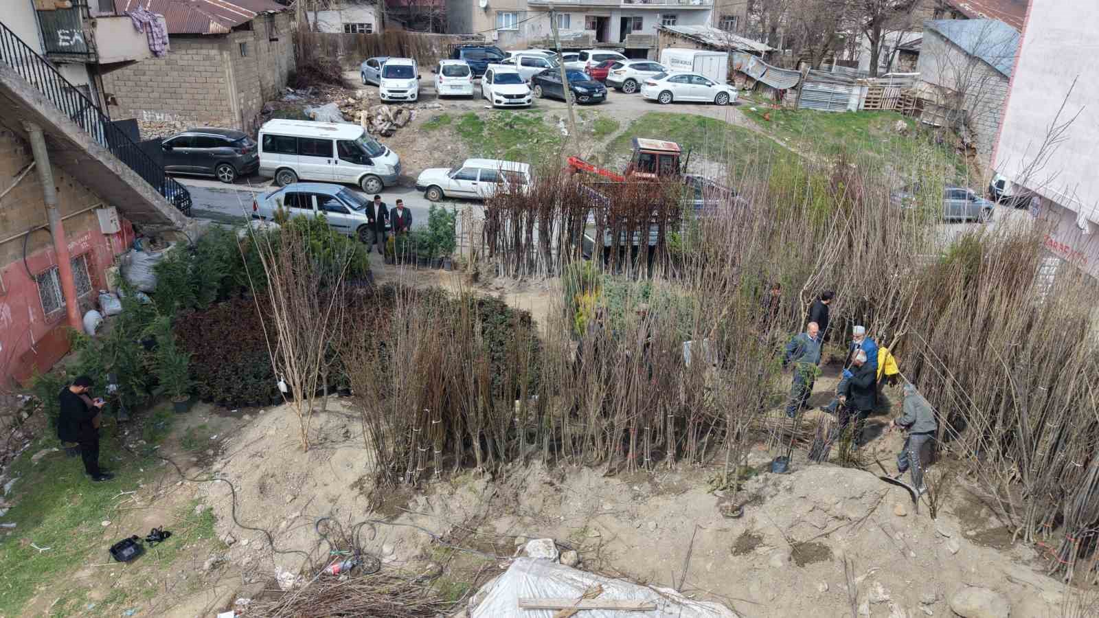 Muş’ta meyve fidanları satışa çıkarıldı
