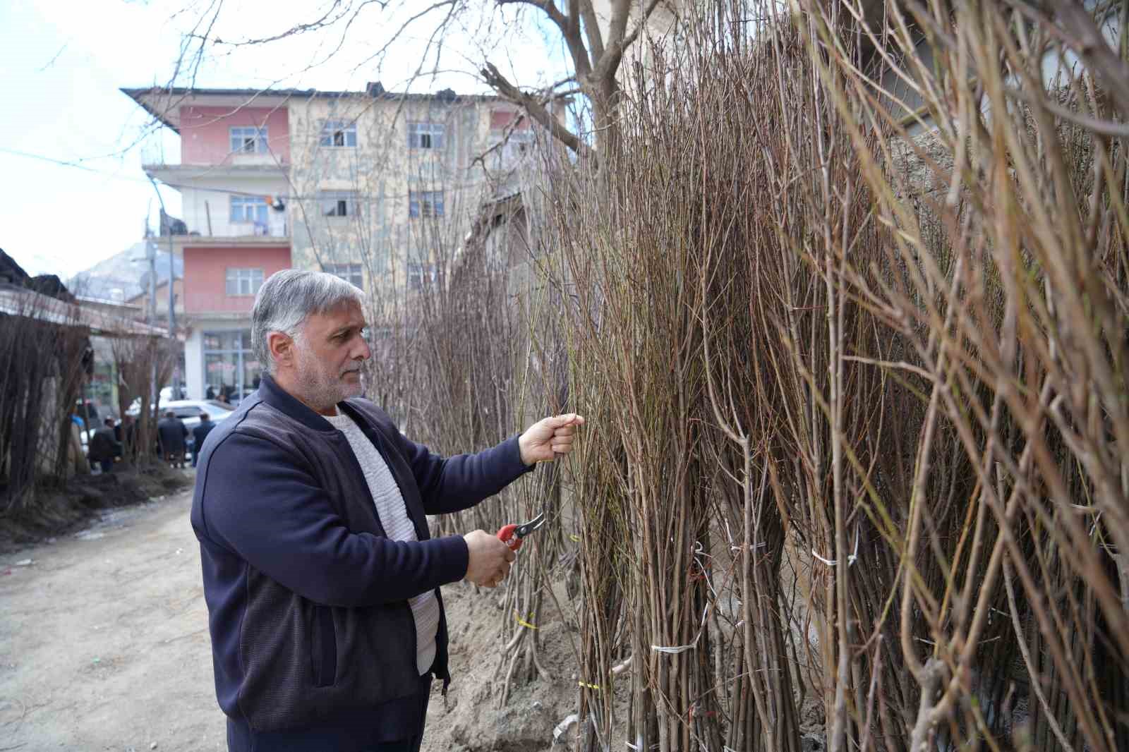 Muş’ta meyve fidanları satışa çıkarıldı

