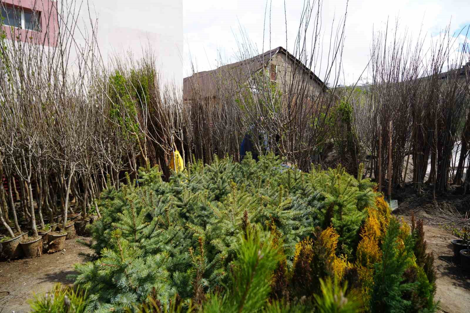 Muş’ta meyve fidanları satışa çıkarıldı
