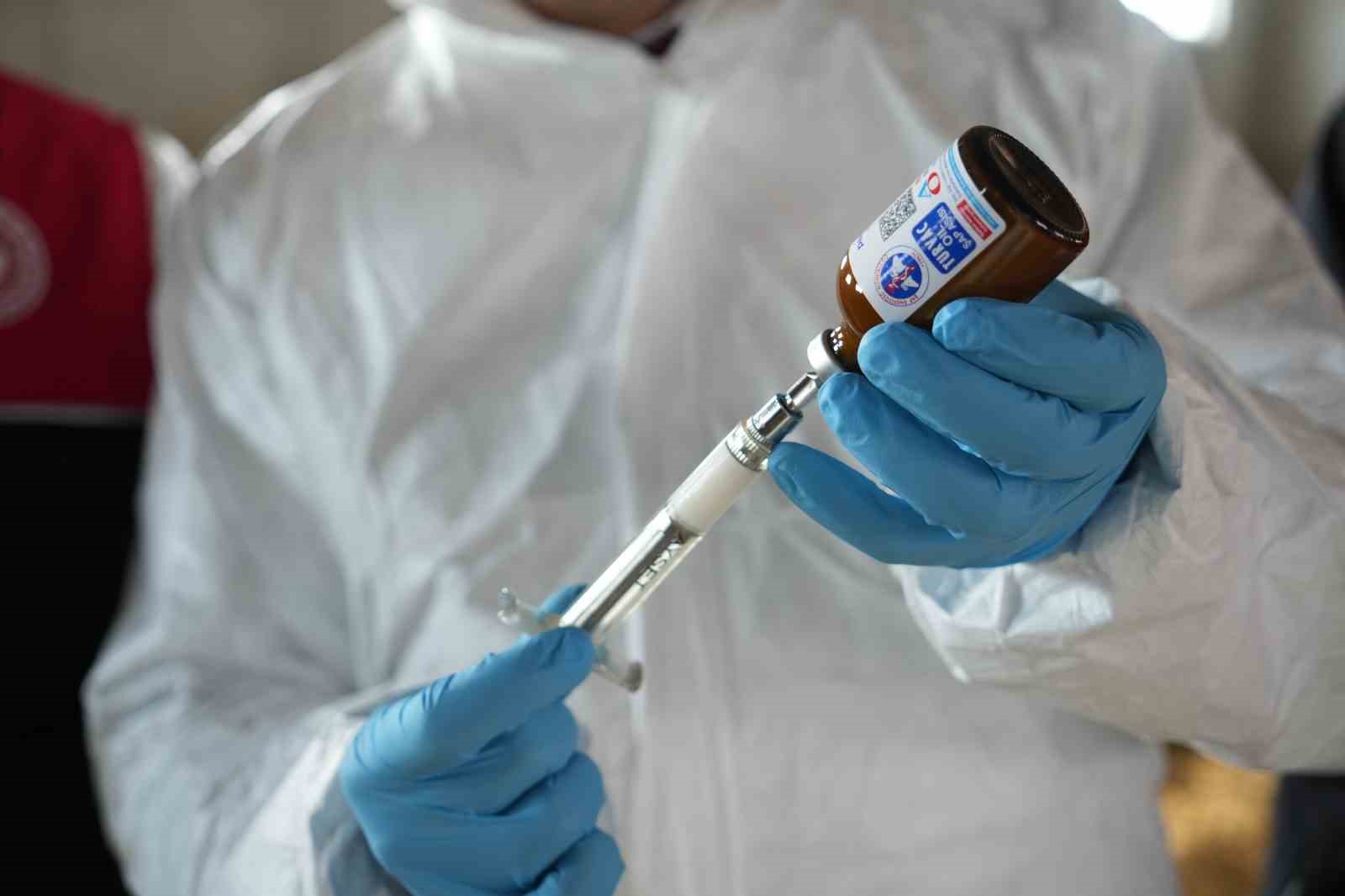 Muş’ta şap ve şarbon aşılama kampanyası başladı
