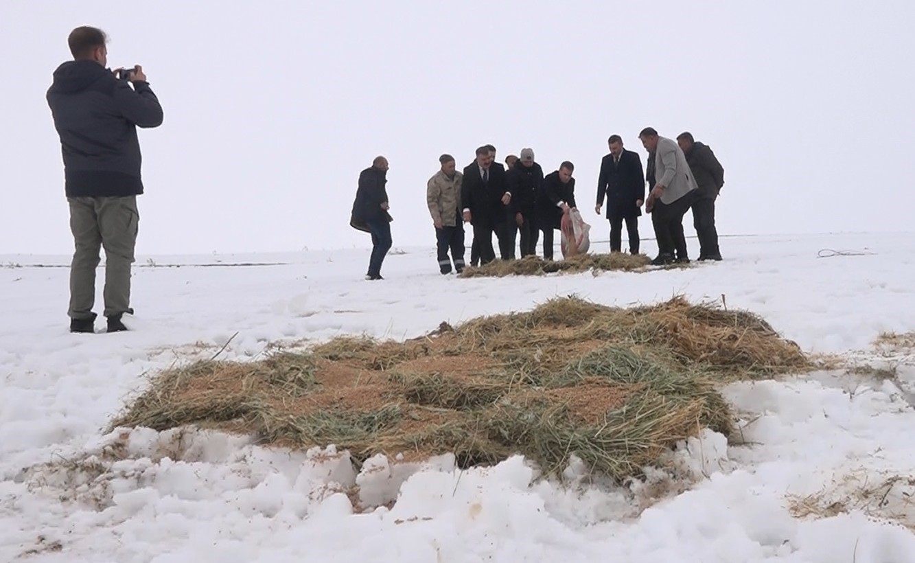 Muş’ta yaban hayatı için doğaya yem bırakıldı
