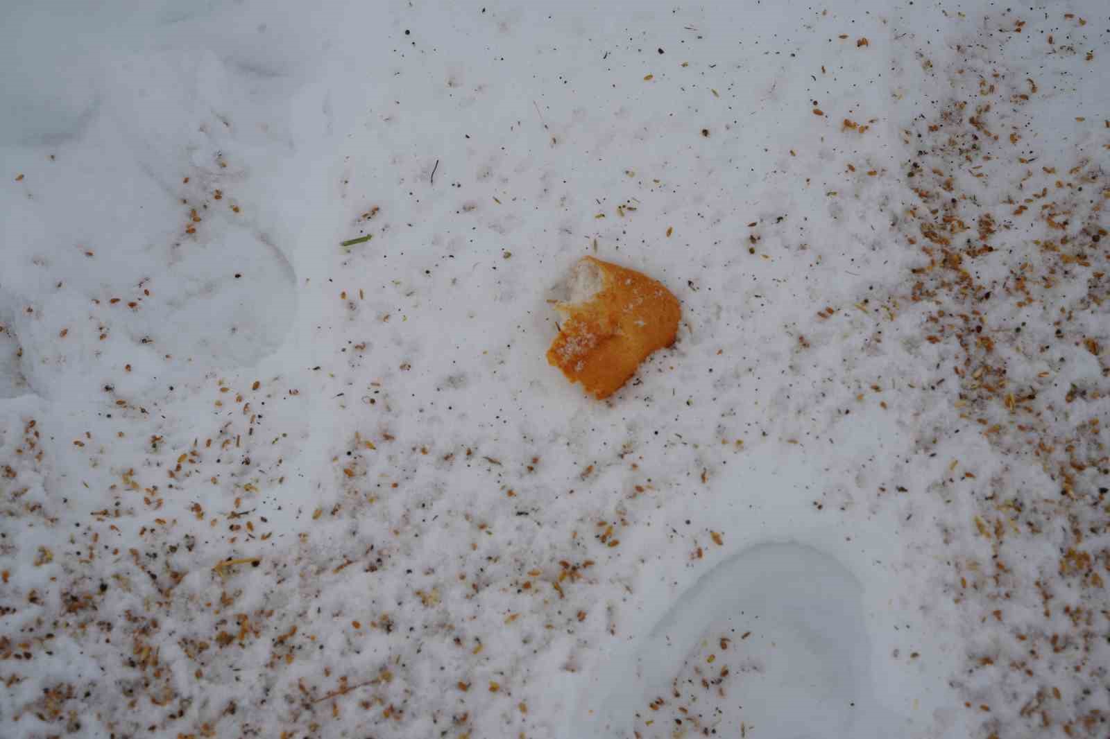 Muş’ta yaban hayvanları için doğaya yem bırakıldı
