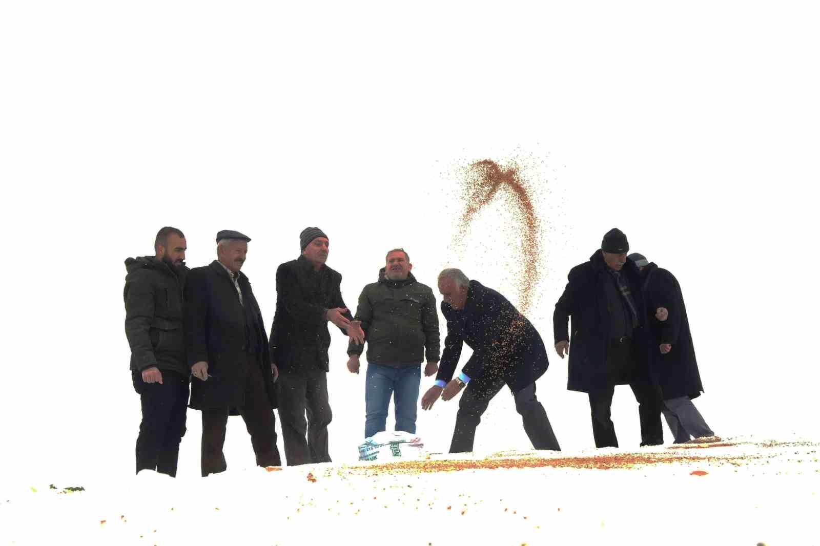 Muş’ta yaban hayvanları için doğaya yem bırakıldı
