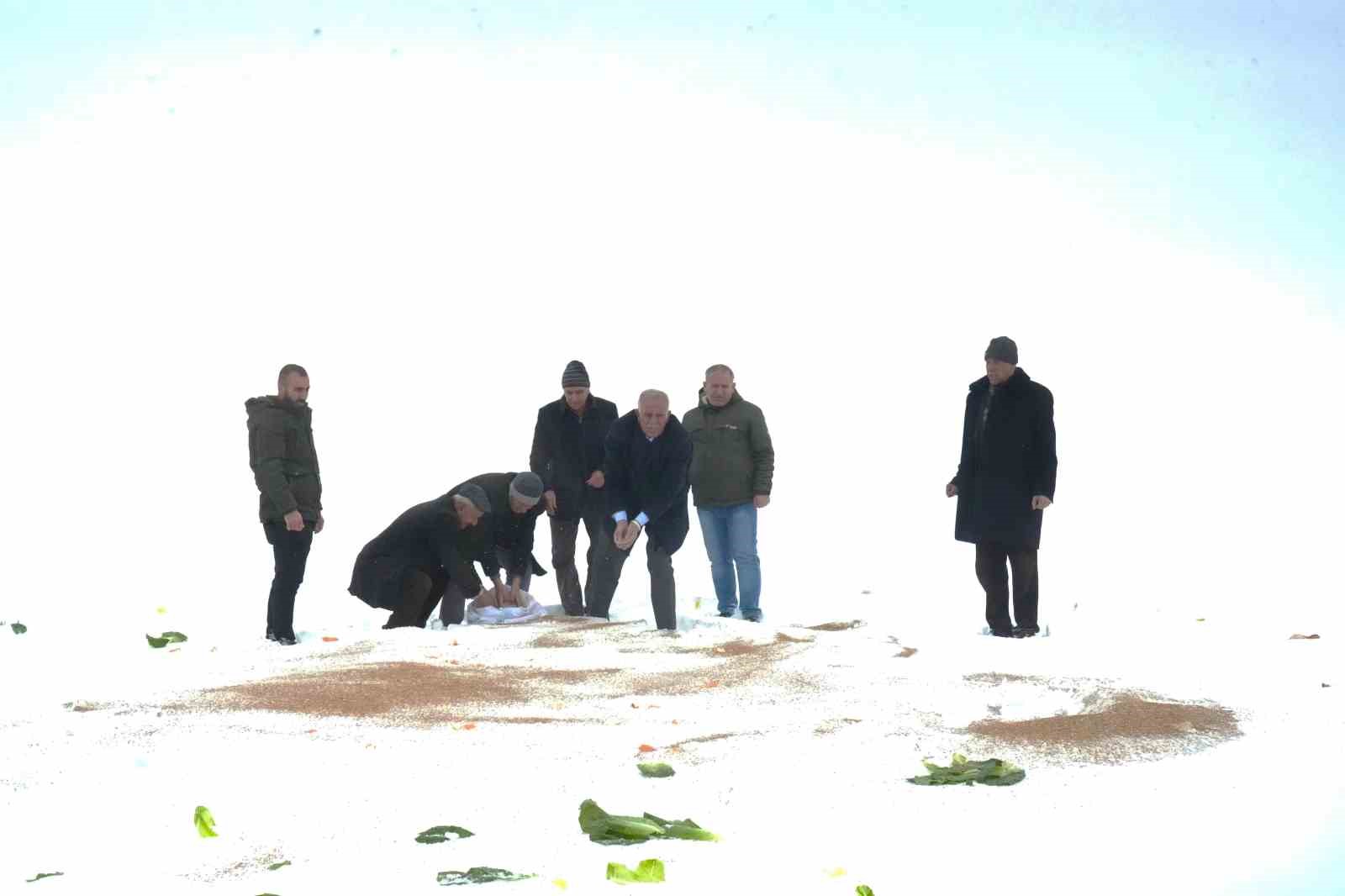 Muş’ta yaban hayvanları için doğaya yem bırakıldı
