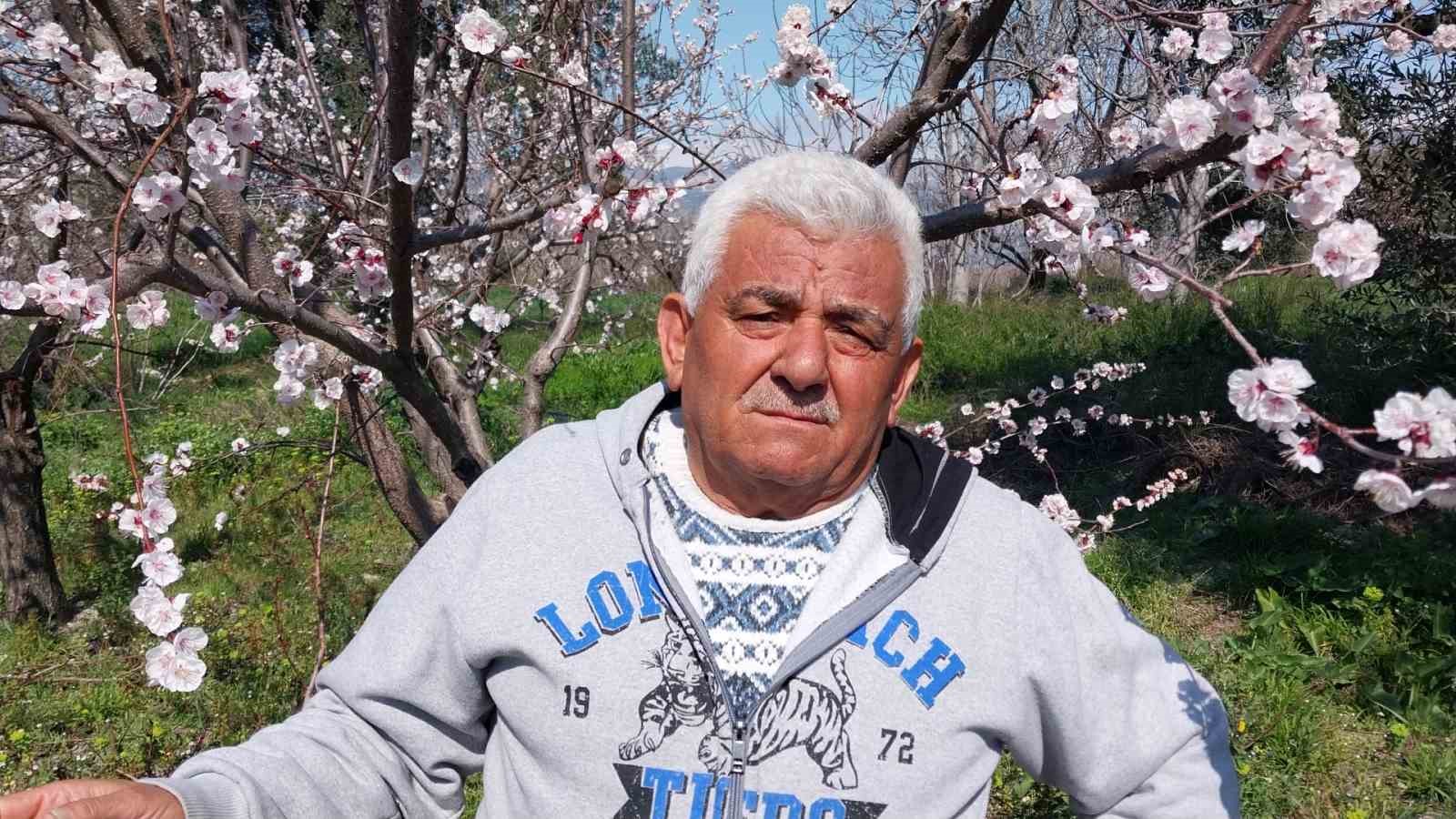 Mut’ta kayısı ağaçları adeta gelinliğe büründü
