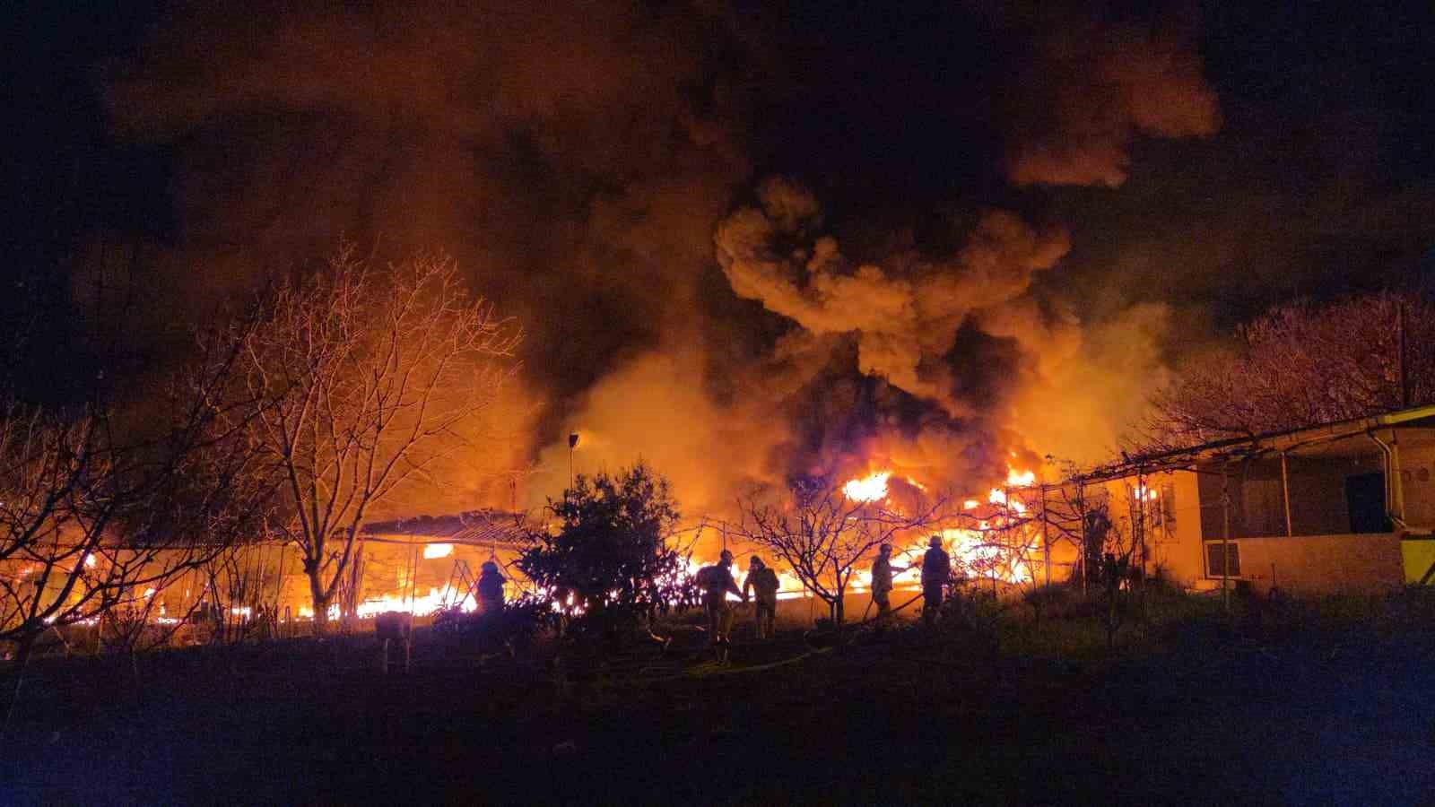 Muz deposu alevlere teslim oldu: 3 saatte kontrol altına alındı
