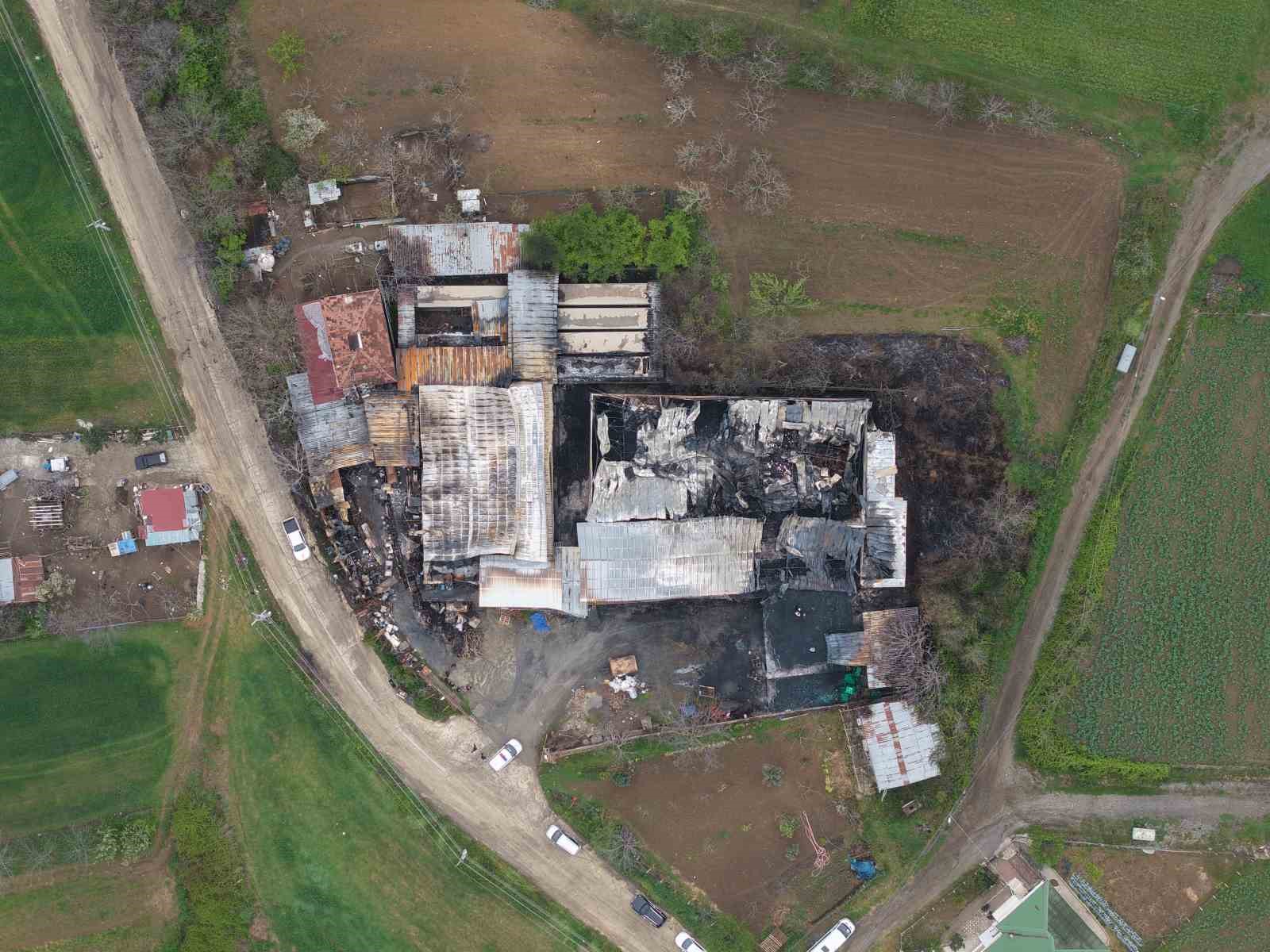 Muz deposundaki yangının zararı gün ağarınca ortaya çıktı
