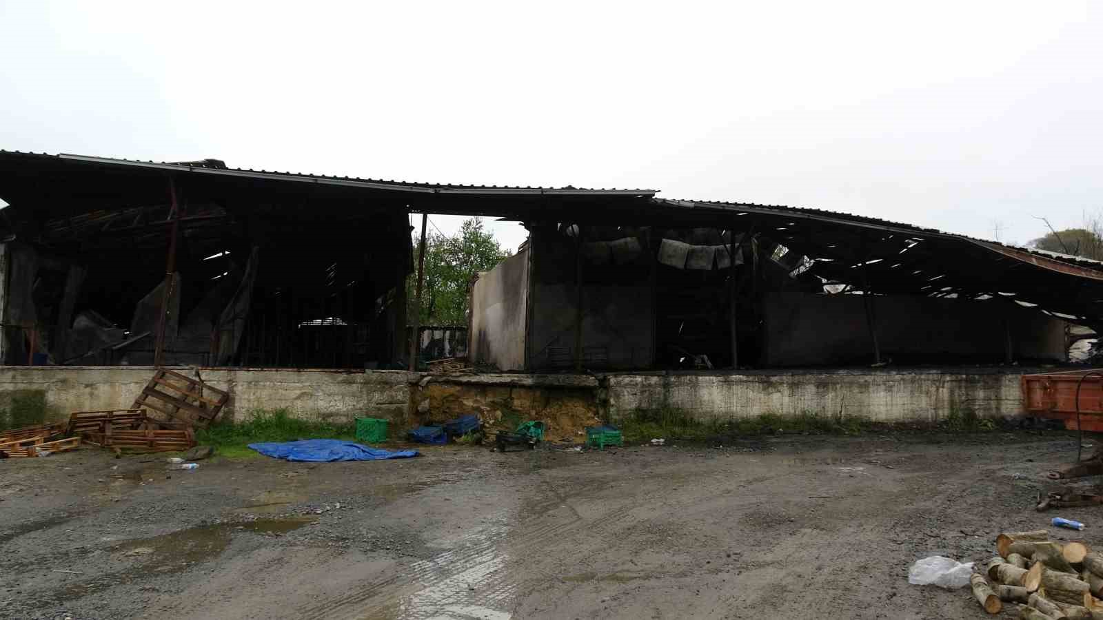 Muz deposundaki yangının zararı gün ağarınca ortaya çıktı
