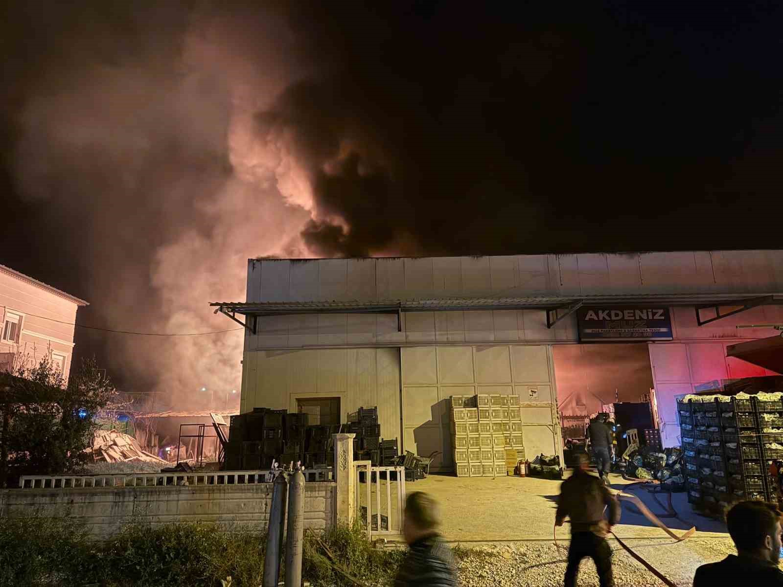 Muz paketleme tesisinde çıkan yangın korku dolu anlar yaşattı
