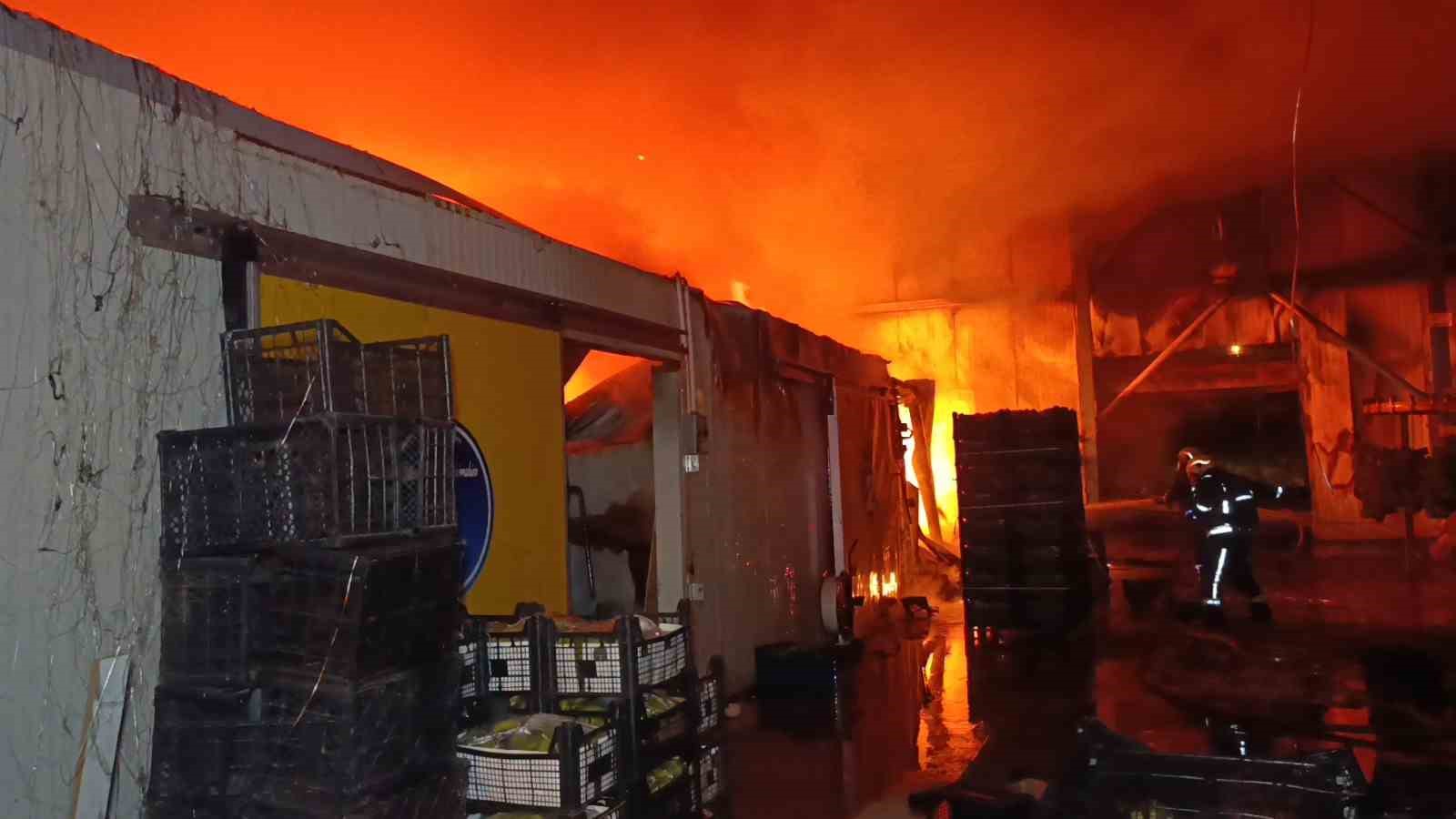 Muz paketleme tesisinde çıkan yangın korku dolu anlar yaşattı
