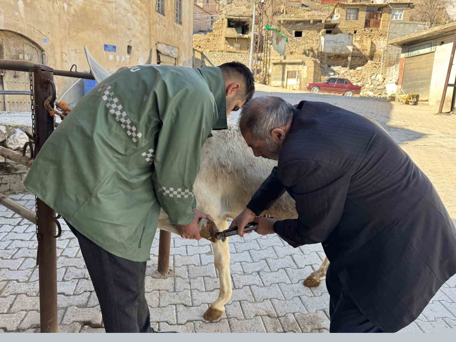 Nalbantlıkla geçen yarım asır: Diyarbakırlı 2 kardeş, 50 yıldır nalbantlık yapıyor
