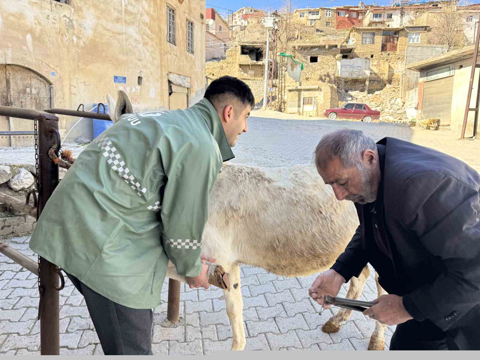 Nalbantlıkla geçen yarım asır: Diyarbakırlı 2 kardeş, 50 yıldır nalbantlık yapıyor
