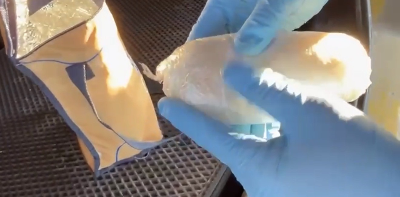 Narkotik dedektör köpeği Pera, araca saklanmış uyuşturucuyu buldu
