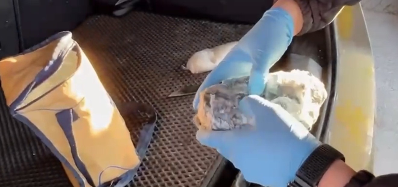 Narkotik dedektör köpeği Pera, araca saklanmış uyuşturucuyu buldu
