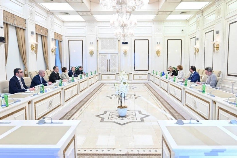 NATO Genel Sekreter Yardımcısı Shekerinska, Azerbaycan Milli Meclis Başkanı Gafarova ile bir araya geldi
