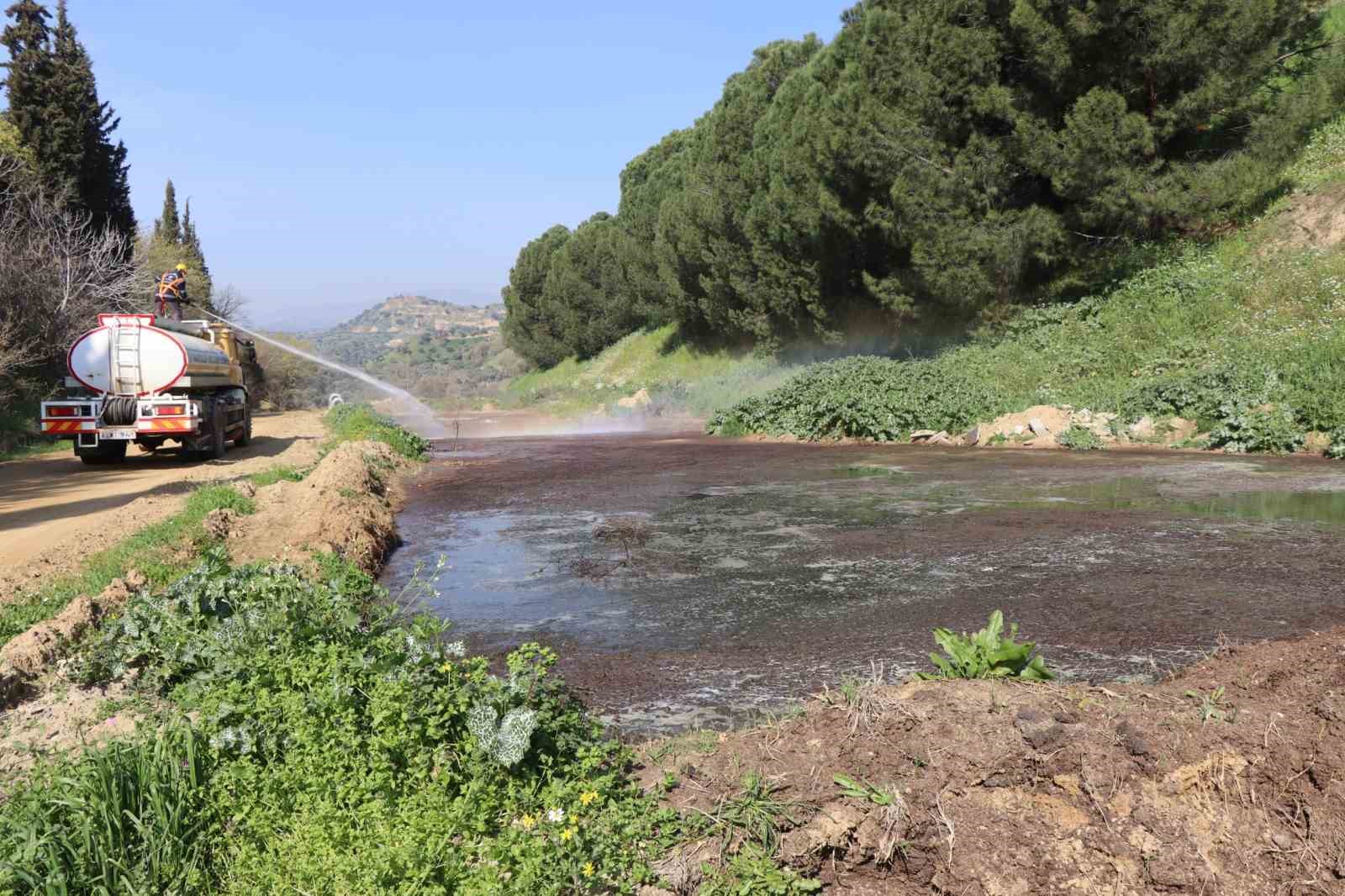 Nazilli Belediyesi sivrisinek ve haşereyle mücadeleye kesintisiz devam ediyor
