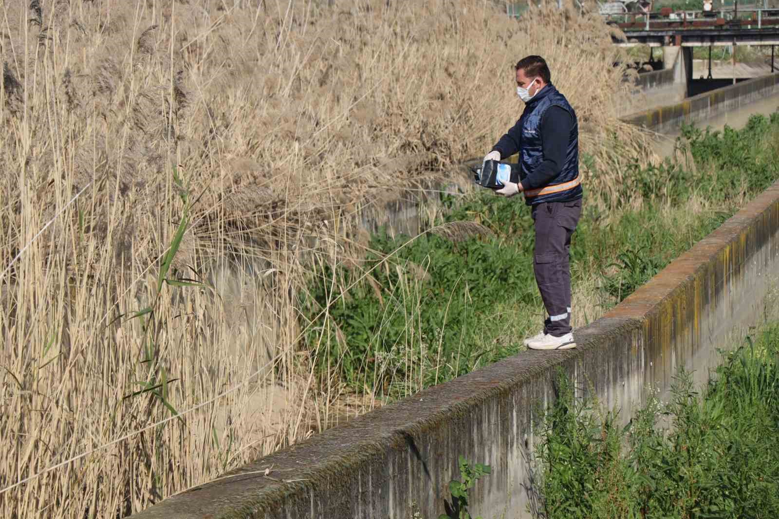 Nazilli Belediyesi sivrisinek ve haşereyle mücadeleye kesintisiz devam ediyor
