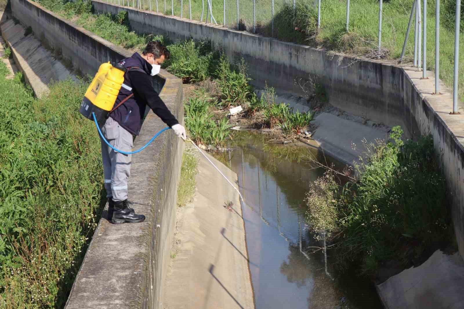 Nazilli Belediyesi sivrisinek ve haşereyle mücadeleye kesintisiz devam ediyor
