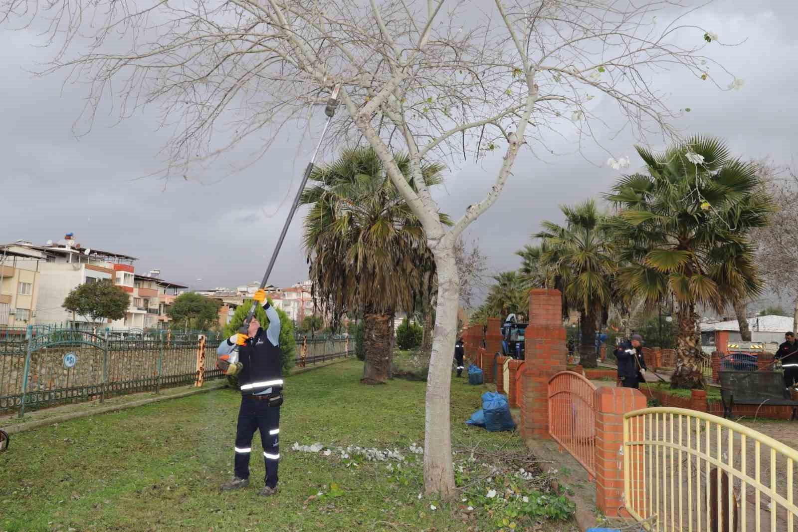 Nazilli Belediyesi yürüyüş yollarını bakıma aldı
