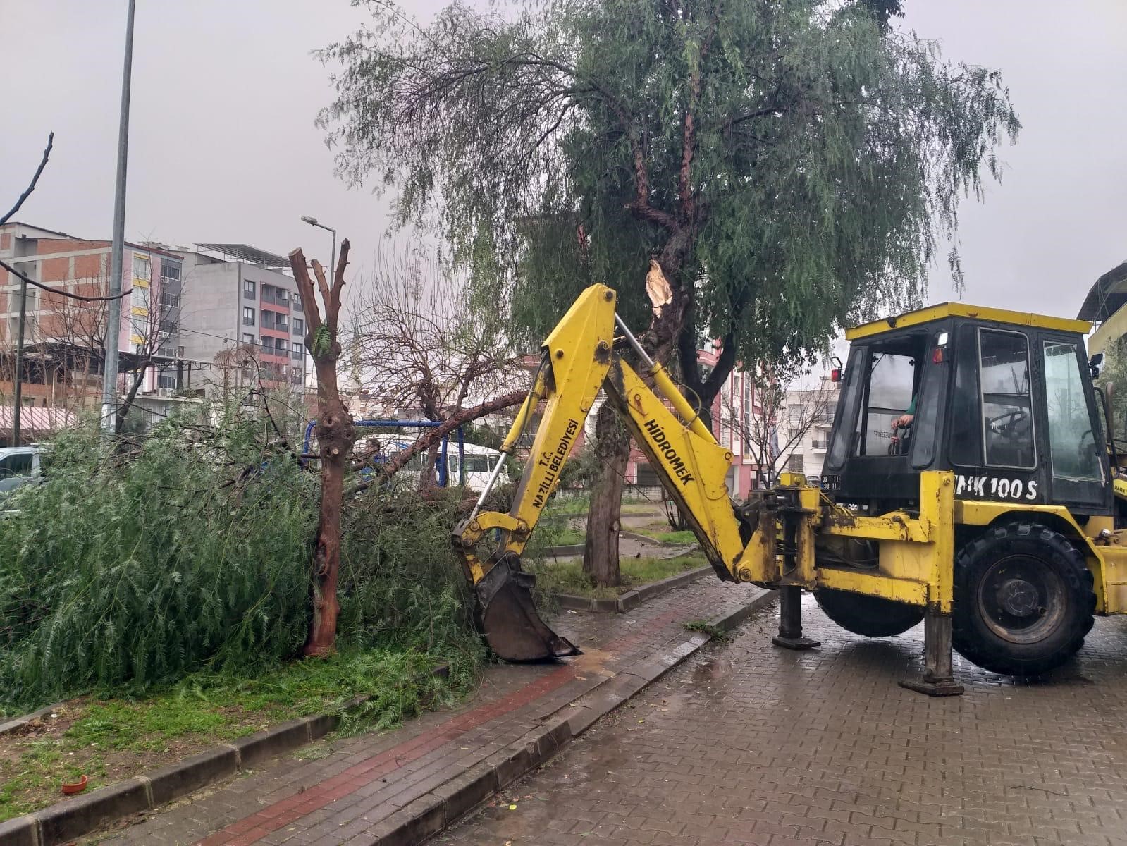 Nazilli Belediyesi’nden devrilen ağaçlara hızlı müdahale
