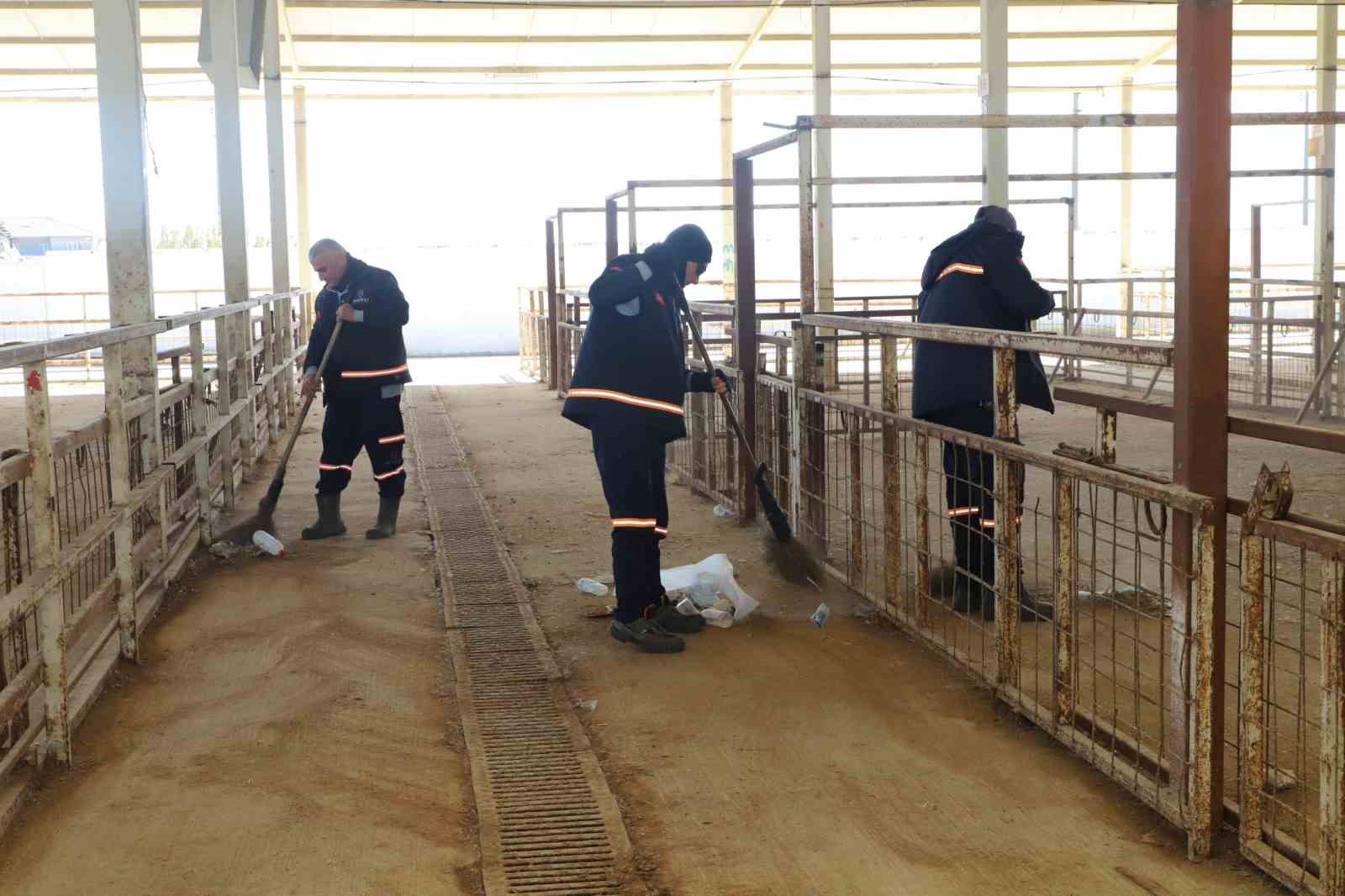 Nazilli Hayvan Pazarı 7 ay sonra yeniden açılıyor
