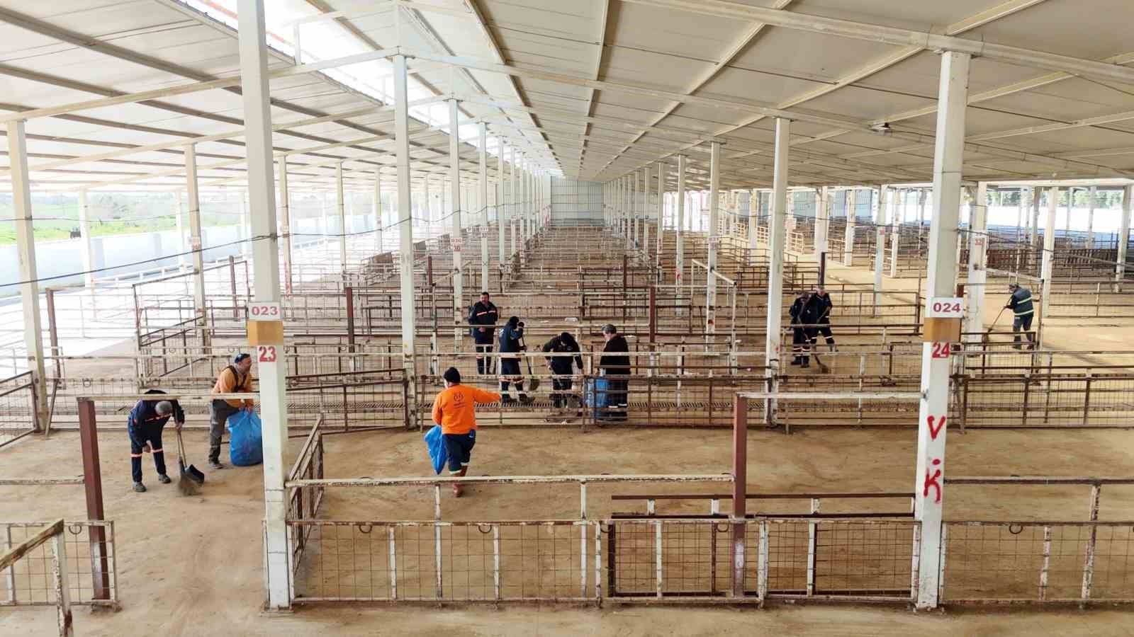 Nazilli Hayvan Pazarı 7 ay sonra yeniden açılıyor
