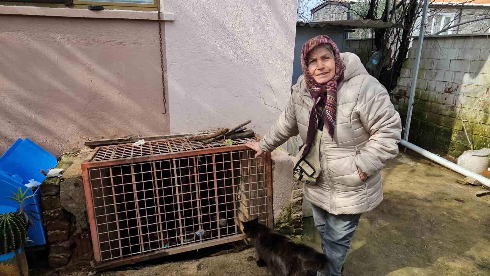 Nazilli’de mahalle sular altında kaldı, ekipler anında müdahale etti
