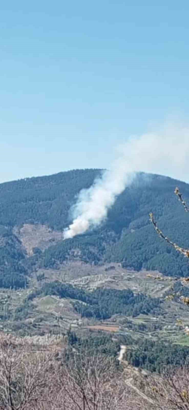 Nazilli’de orman yangını

