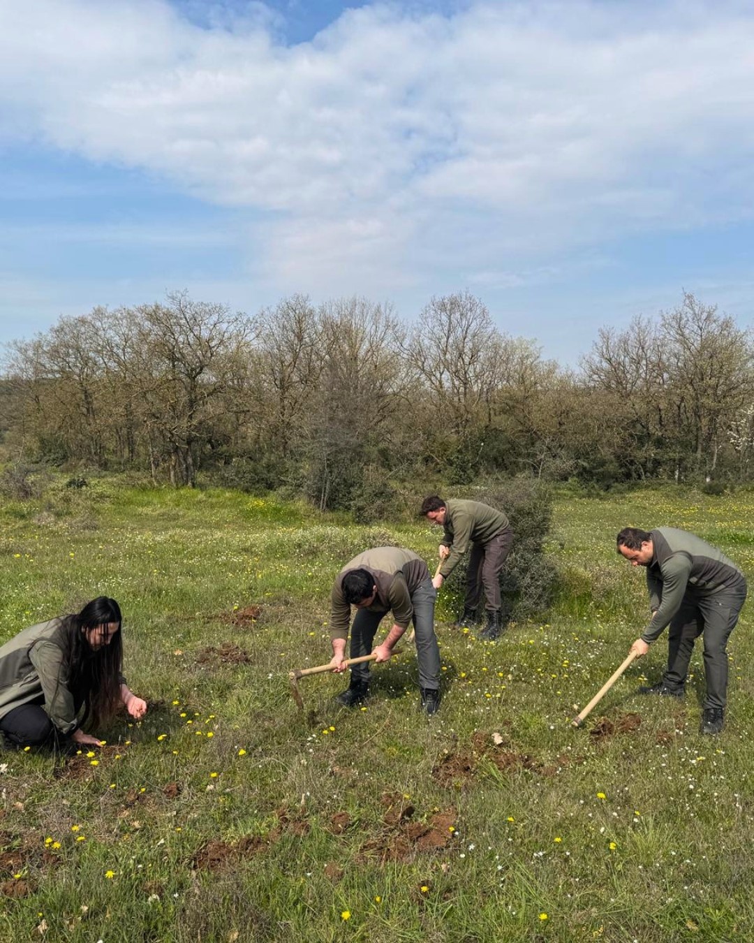 Nesli tehlike altındaki bitkinin yumrularını söken kişiye yarım milyonluk ceza
