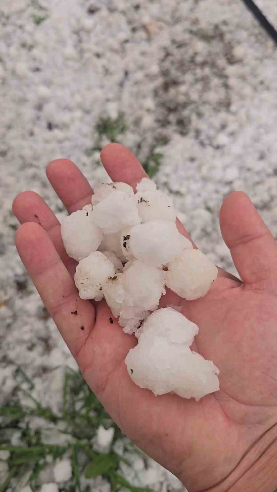 Niğde’de dolu yağışı etkili oldu
