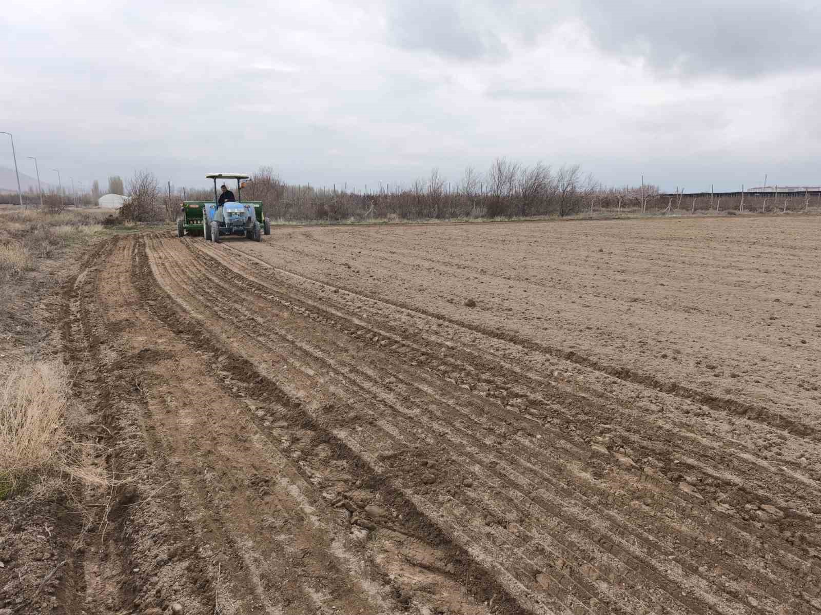 Niğde’de kadın kooperatifleriyle çörek otu ekimi tamamlandı
