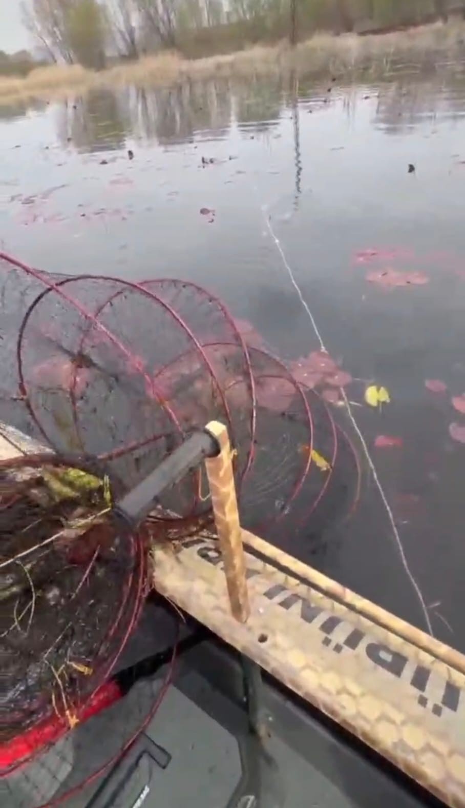 ‘Nilüfer Cenneti’nde kaçak avcılığa ‘dur’ denildi
