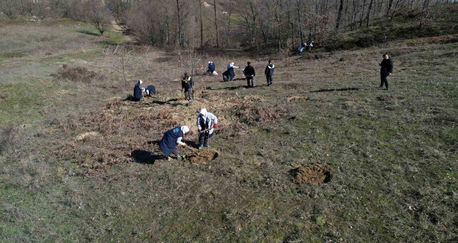 Nilüfer’in atıl arazileri hem nefes hem gelir kaynağı oluyor
