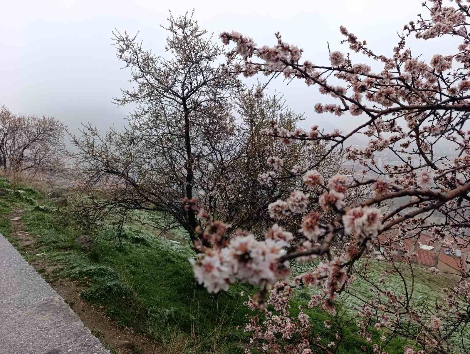 Nisan ayında Afyonkarahisar’a kar sürprizi

