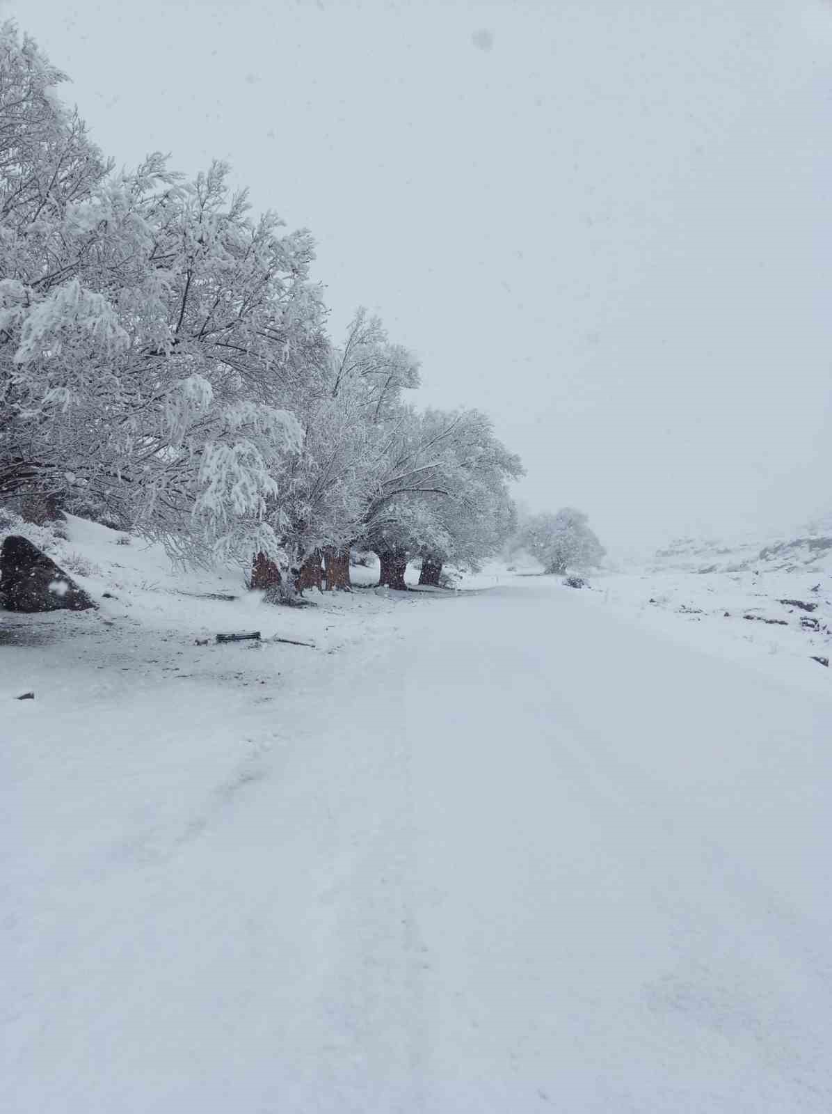 Nisan karı mahalleyi beyaza bürüdü

